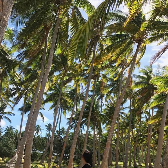 Meet your Posher, Sabrina - Picture 1 of 1